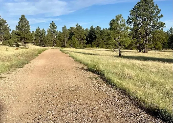 On Trails 2 Mi To Town & Nau 12 Mi To Snowbowl Holiday home *